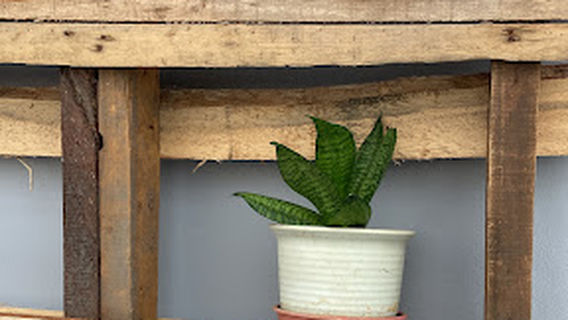 玉花园 (yu garden)