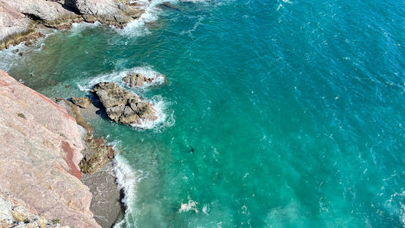 San Carlos Vista Point