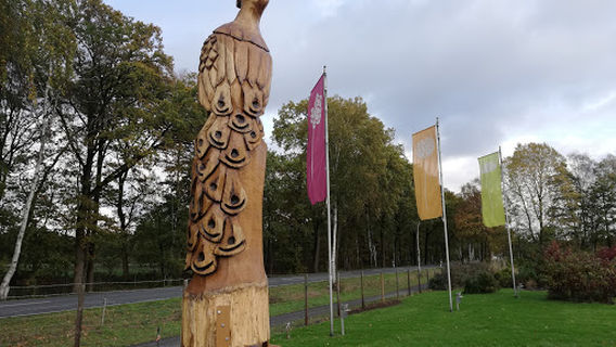 Wesendorf