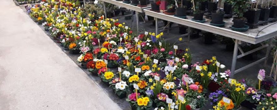 EARL Les Serres du Faing Horticulture