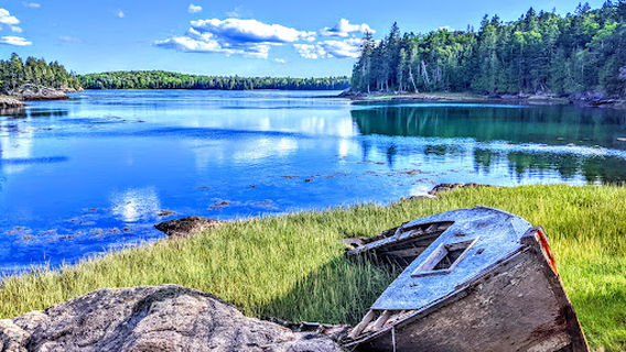 Reversing Falls Park