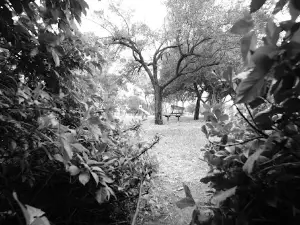 Harold Long Park