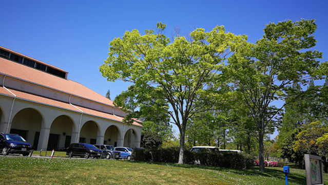 Village of Happiness Grass Square