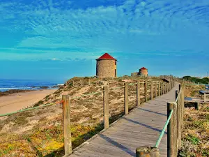 Mills Apulia