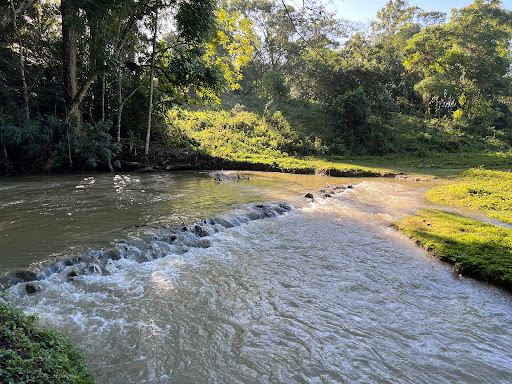 Camp Irie Farm & Adventures