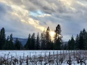 China Bend Vineyards