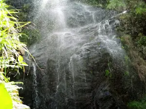 Chilunga Cultural Tourism