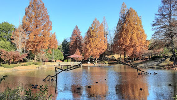 Maehira Park