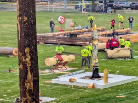 올림픽 스타디움