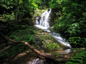 Khao Phra Thaeo National Park