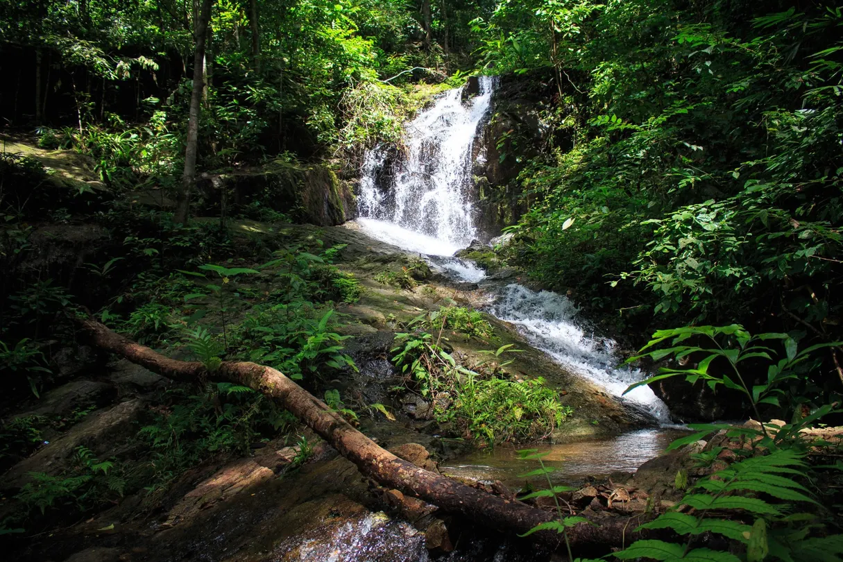 3_栲帕吊國家公園