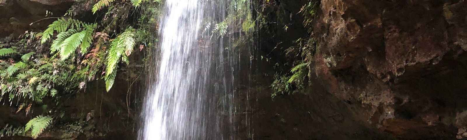 布萊克希思日遊