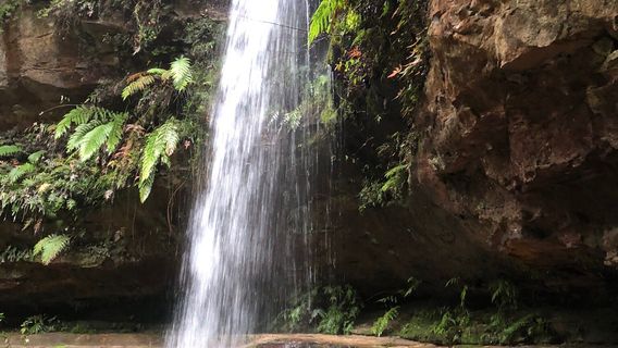 Grand Canyon Walking Track