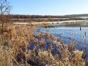 Rother Valley Country Park