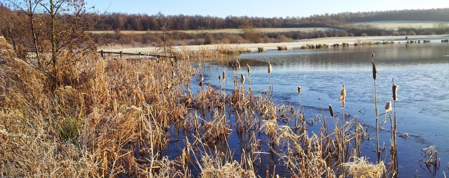 Rother Valley Country Park