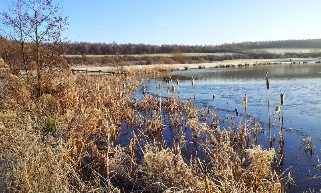 Hotels near Rother Valley Country Park