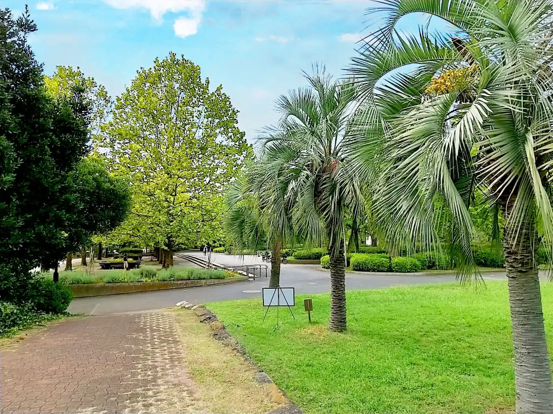 사루에온시 공원 주변 호텔