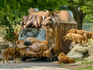 Kyushu Wildlife Park African Safari