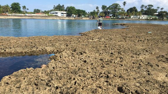 Balvanero Vargas Park