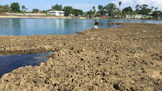 Balvanero Vargas Park