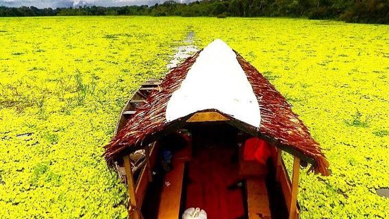 Iquitos