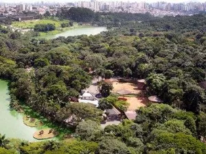 Zoo di San Paolo del Brasile