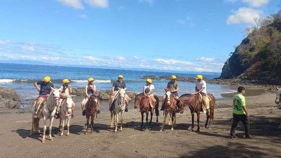 Geckotico Tours And PapagayoGofishing