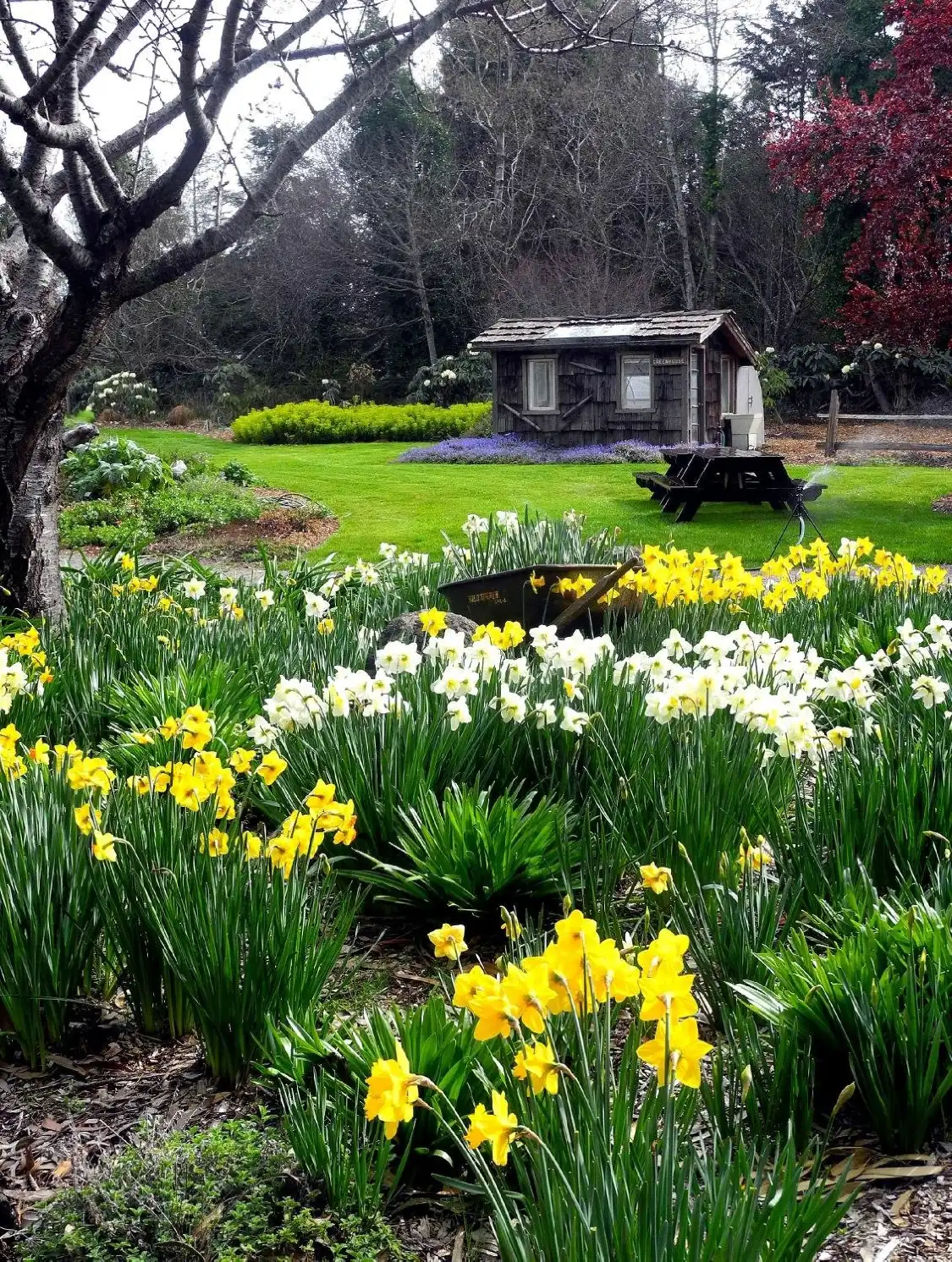 Hotels near Mendocino Coast Botanical Gardens