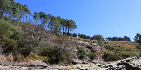 Parque Natural do Alvão