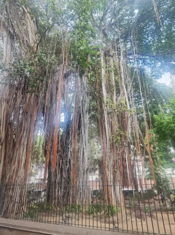路易港國家歷史博物館