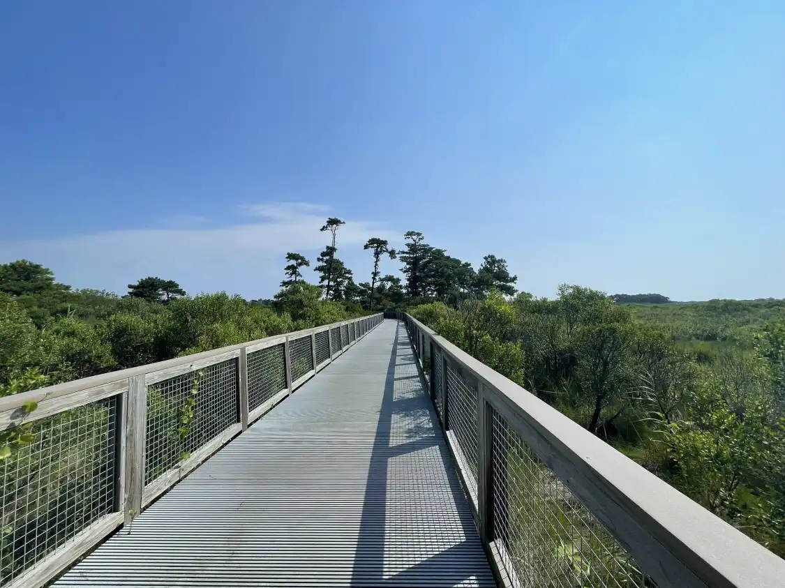 Hotels near Cape Henlopen State Park