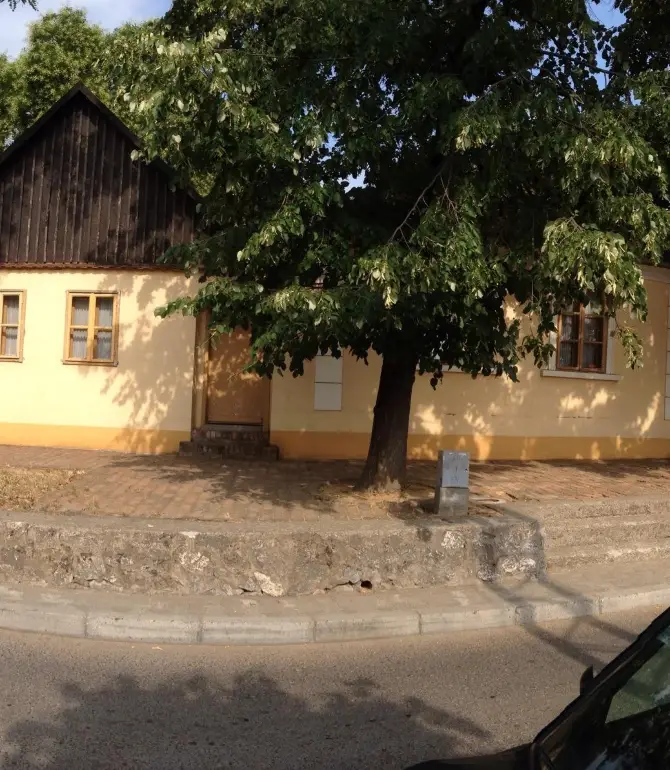 Sremska Kamenica