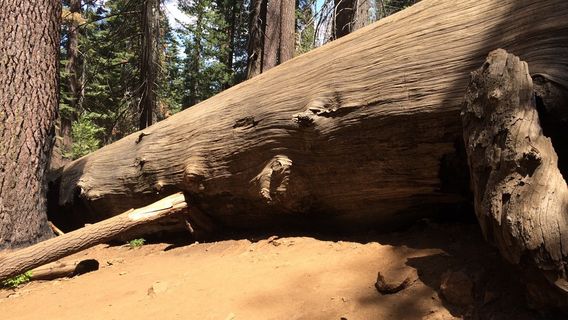 Yosemite Village