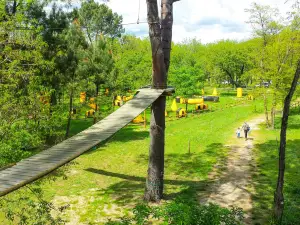 Hold on to the branches