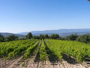Chateau La Coste en Provence