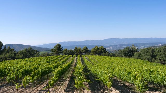 Chateau La Coste en Provence
