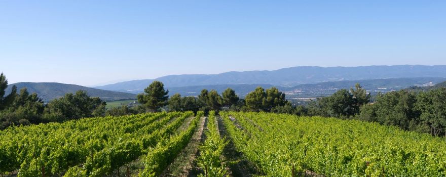 Chateau La Coste en Provence
