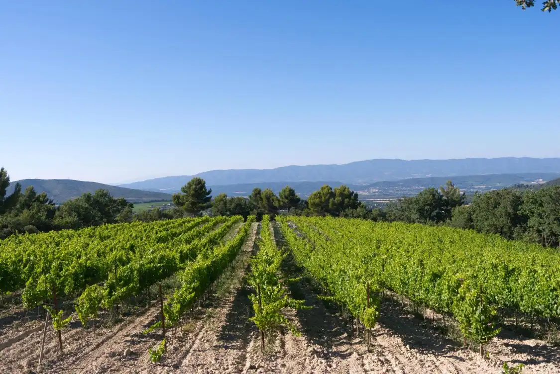 Hotels in der Nähe von Chateau La Coste en Provence