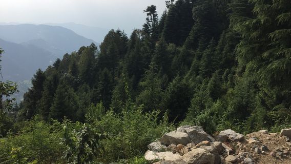 Jandri Ghat