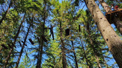 Tree to Tree Adventure Park