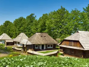 Bucovina Village Museum