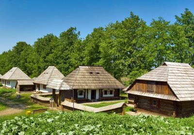 Bucovina Village Museum