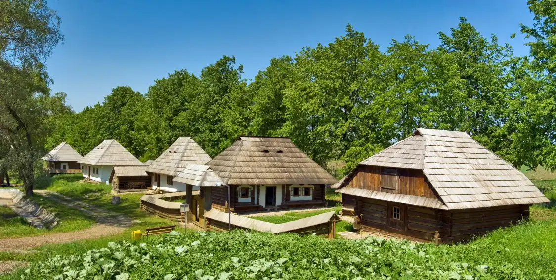 Hotels near Bucovina Village Museum