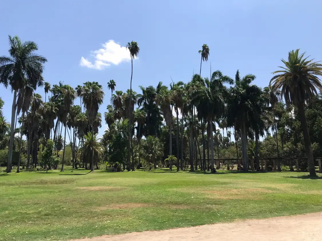 Hotels near Parque Sinaloa