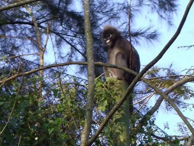 Hotels near Taman TAR Wildlife Sanctuary