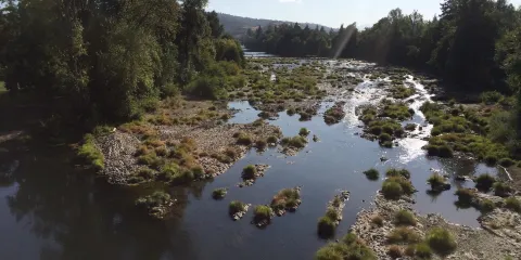 Stewart Park, Roseburg, Oregon