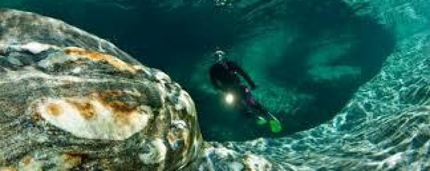 Dedalus Divers Club
