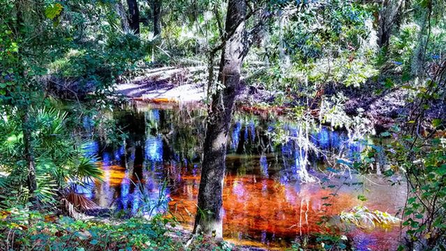 Pear Park - Wildlife Conservation Area