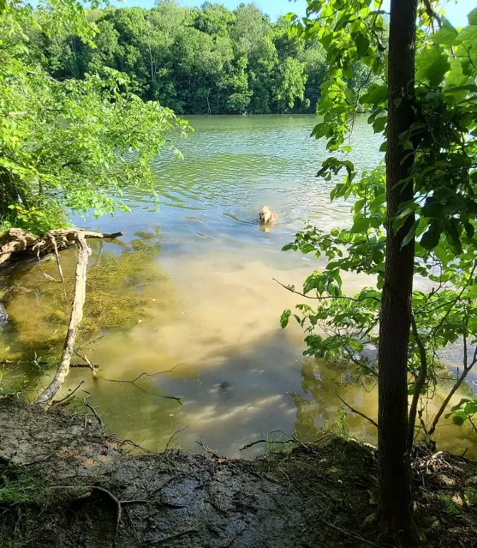 Peters Township