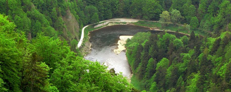 Sokolica